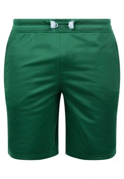 Le moins cher 😍 Solid SDLEANDO - Short - Green 💯 -Solid Soldes 6b600d47d9a74cd7bf64d4018d42100b